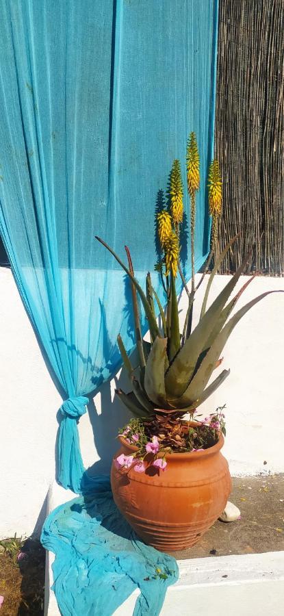 Amaryllis Sweet Home Pírgos 外观 照片